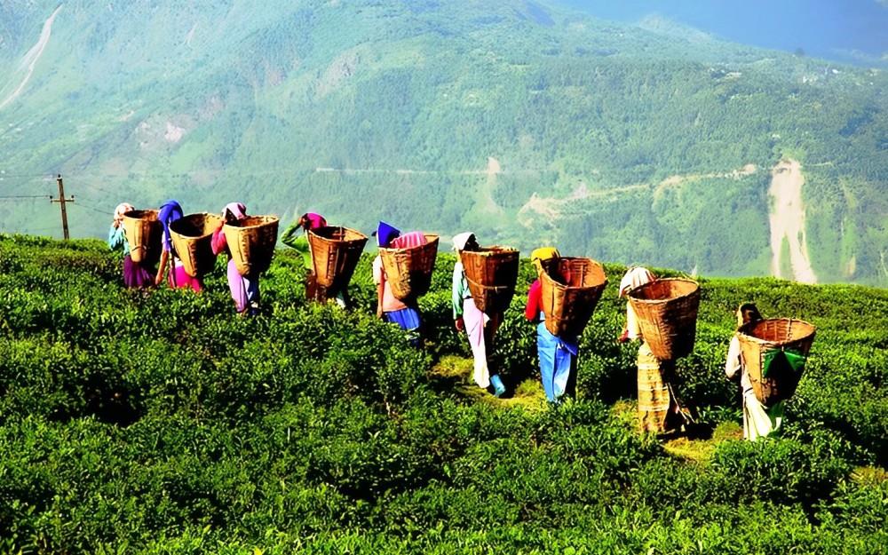 Sikkim and Nepal (Between Mountains and Monasteries)