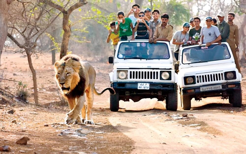 Trip To The Authentic Gujrat of The Northern India