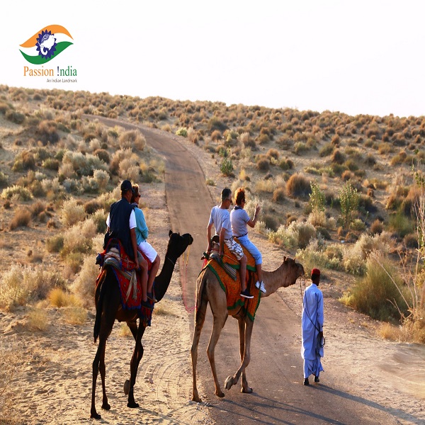 Aventure sauvage au Rajasthan